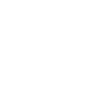 Rigorous 165 Point Inspection